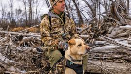 dog and hunter waterfowl