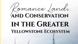 romance lands book