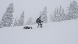 ski touring with dog