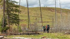 backpacking yellowstone
