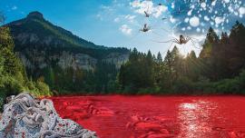 bozeman plagues