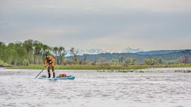 paddleboarding Yellowstone