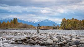fly fishing yellowstone river