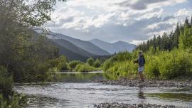 Fly fishing on the banks of the Middle Fork of the Flathead
