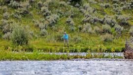 Fishing at Lyon's Bridge FAS