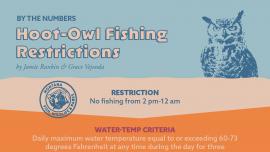 Understanding Hoot Owl Restrictions