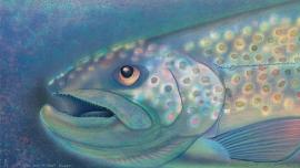 "Lost Fish are Always Bigger" by Parks Reece