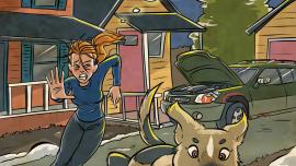 alpine starts dream versus reality