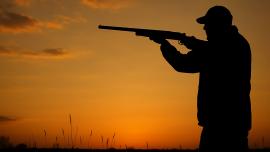 bird hunter sunset
