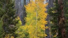 Humbug Spires, Pioneer Mountains, Southwest Montana, Autumn