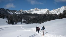 Beehive Basin