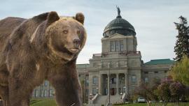 Montana Wildlife Federation, Montana 2017 Legislature