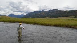 Montana Fly Fishing, Yellowstone Fly Fishing