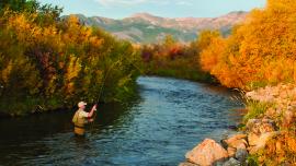 East Gallatin, Fly Fishing