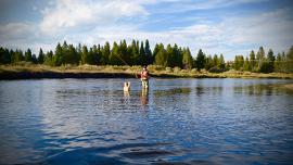 Upper Madison, Fly Fishing, West Yellowstone, Montana