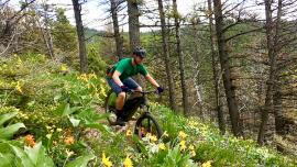 Mountain Biking, Bozeman, Stone Creek, Bangtail
