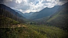 Custer Gallatin National Forest, Forest Plan Revision, DEIS