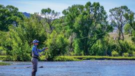 Fishing, trout, MSU 