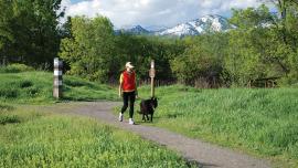 dogs, pets in montana, bozeman dog parks, pet manners, outside bozeman