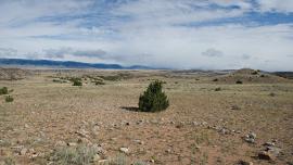 tipi, tipi ring, bozeman, native history, archaeology