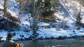 Winter Fly Fishing, Bozeman, Montana