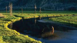 fly-fishing, bozeman montana, first fish, trout