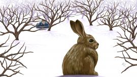 winter, crockpot rabbit, Outside Bozeman, Montana