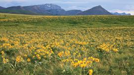 Rocky Mountain Front, Montana Wilderness Areas, Outside Bozeman magazine