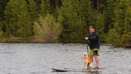 Ruff Wear Float Coat