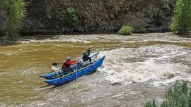 rafting, yankee jim, water, river 