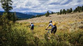 Portal Creek Trail, Porcupine Trail, Custer Gallatin Forest Plan Revision