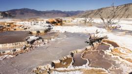 Yellowstone hot pots, Yellowstone National Park, geyser basin