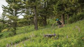 mountain biking stone creek bangtails Montana 