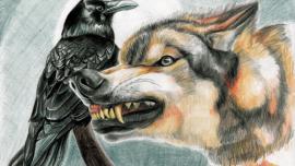 wolf, raven, illustration