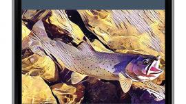 Montana Fishing Access—MountainWorks
