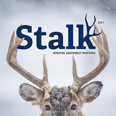 stalk 2021 cover