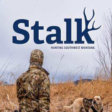 Stalk 2024-25 cover