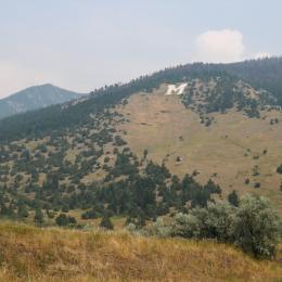 m trail, bozeman, trails