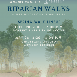Upcoming Riparian Walks: April 28, 6 to 7:30 pm, Cherry River Fishing Acccess; May 26, 6:30 to 8 pm, Indreland Audubon Wetland Preserve