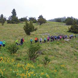 Baldy Blitz, Bozeman