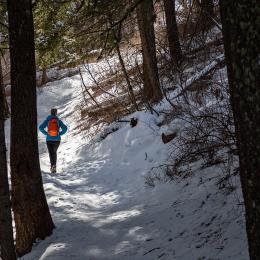 winter, trails, bozeman