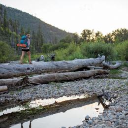 backpacking crossing log