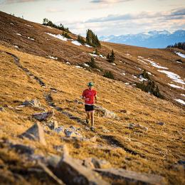 Spring Running Injuries