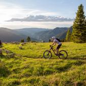 mountain biking, garnet trail, gallatin canyon