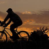 Outside Bozeman Hunting Bike