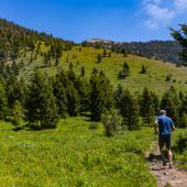hiking, trail running, trails, bridgers