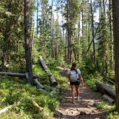 Hyalite, hiking, trails