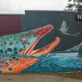 fly fishing mural, Montana Angler