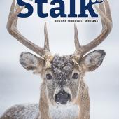 stalk 2021 cover