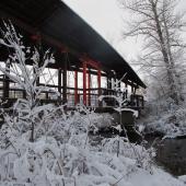 trails, drinking horse, bozeman, winter